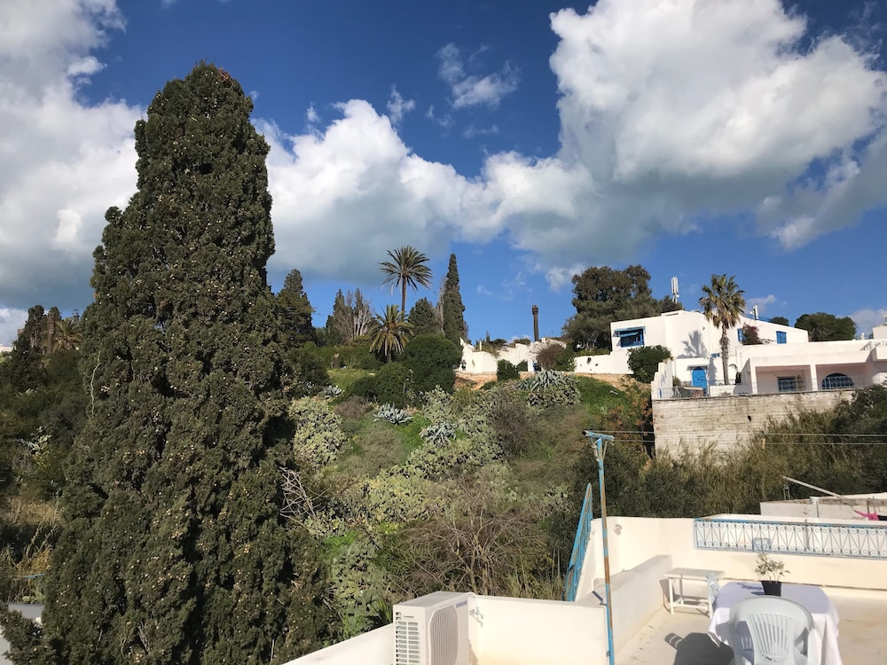 Photo 18