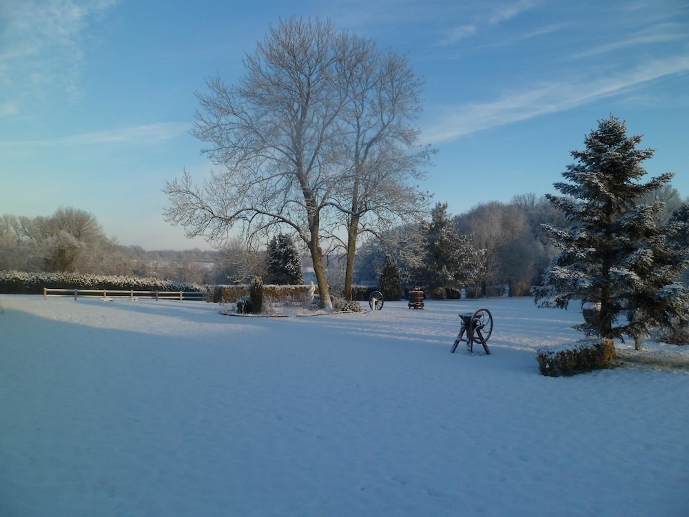 Photo 11