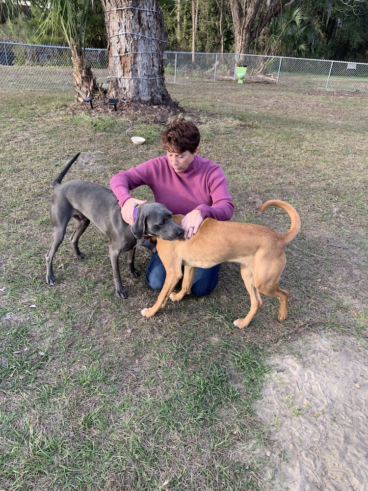 Lake City Vacations - Motel 8 Lake City - Property Image 4