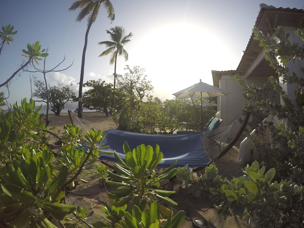 Spice Island Beach Resort 110