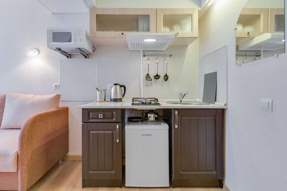 Duplex Apartments on Pushkinskaya 9