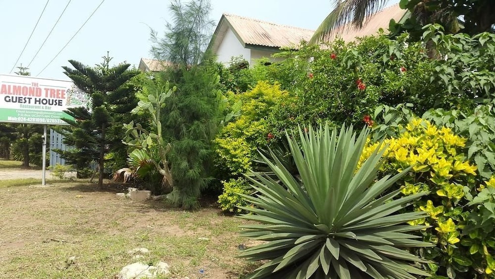 Almond Tree Guest House