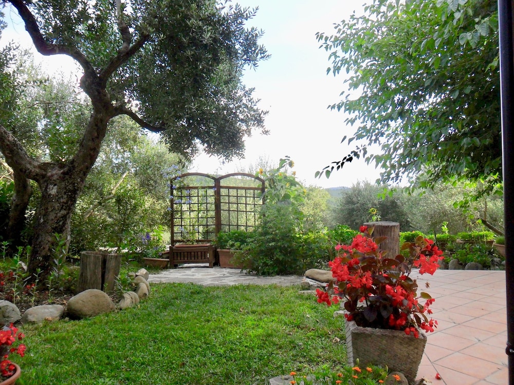 Photo 10