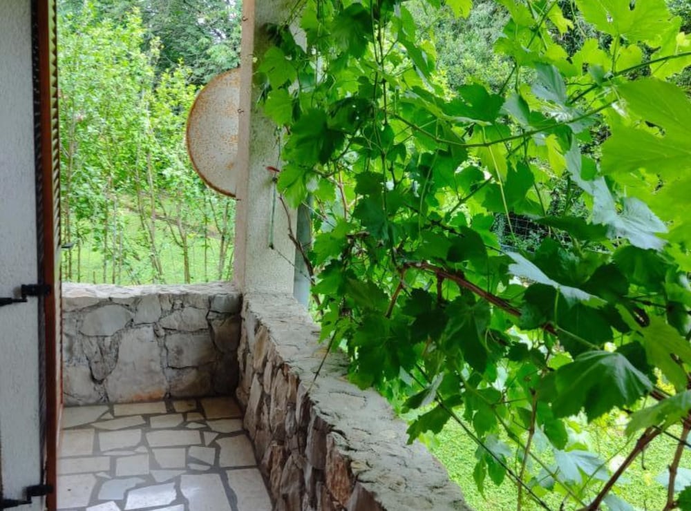 Apartment & Rooms Villa Oliva