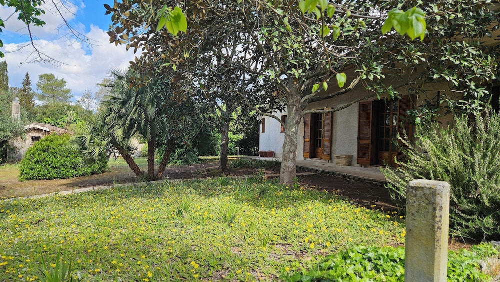 La Pineta