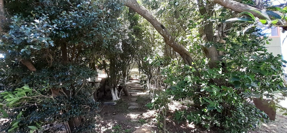 Hostel La Suerte