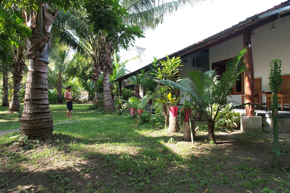 Coconut homstay