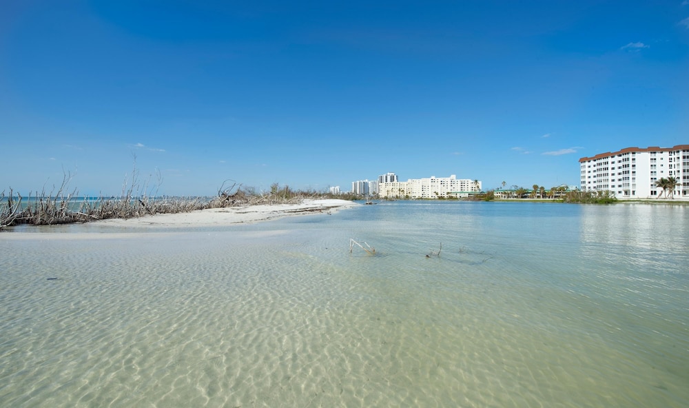 Sand Caper #406