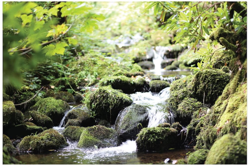 Afon Rhaiadr Country House
