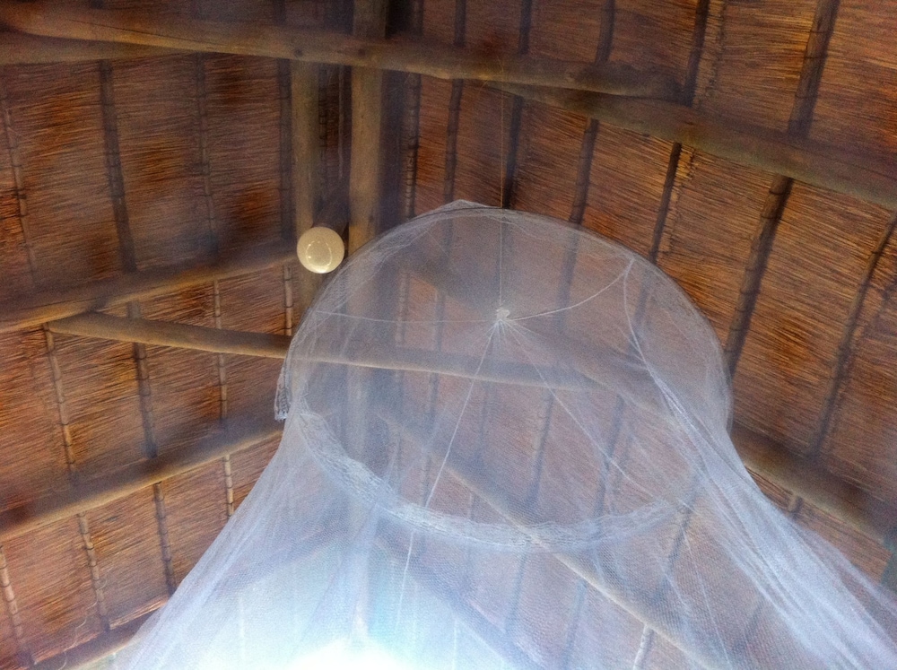 Lion Roars Lodge