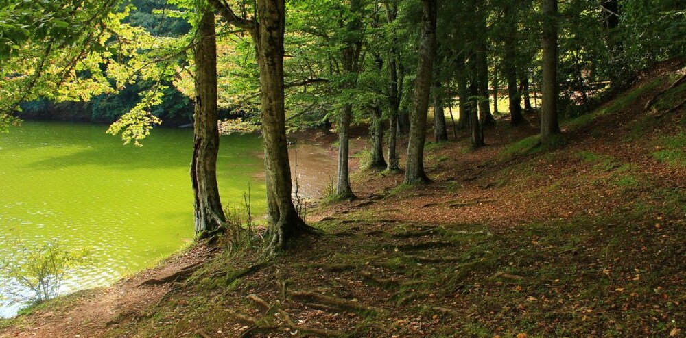 Green Garden eco-holiday
