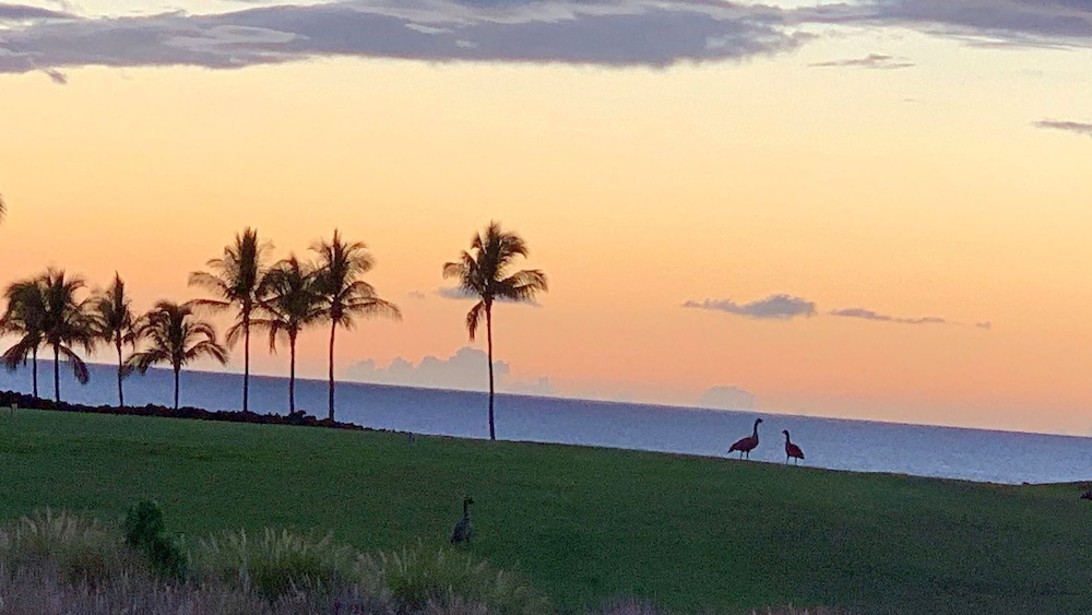 Waikoloa Golf Discount Views of Ocean & Golf Course Outdoor Seating - Vrkcv