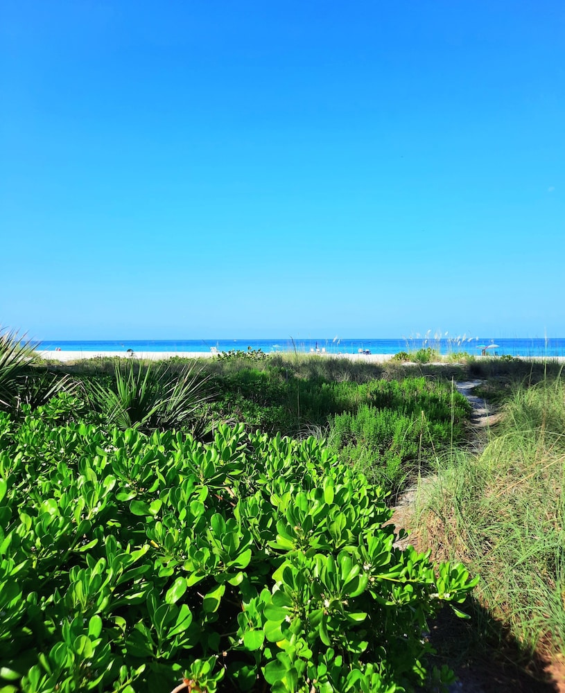 Sunset Beach 202 2 Bedroom Condo by RedAwning