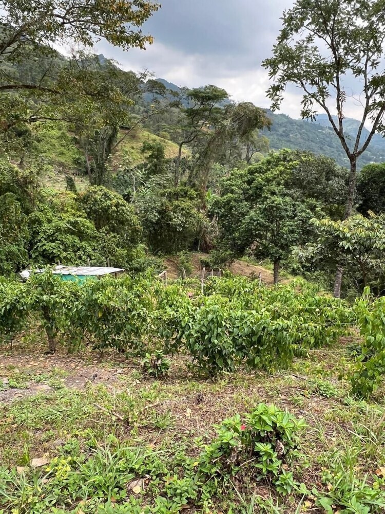 Cabanas Tierra Prometida