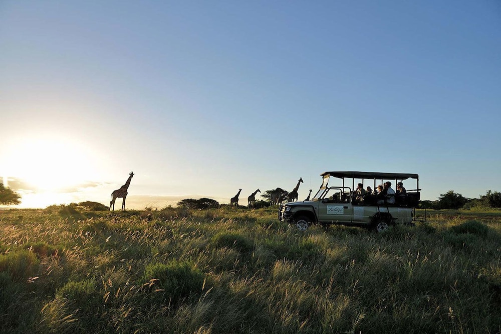 Falaza Game Lodge