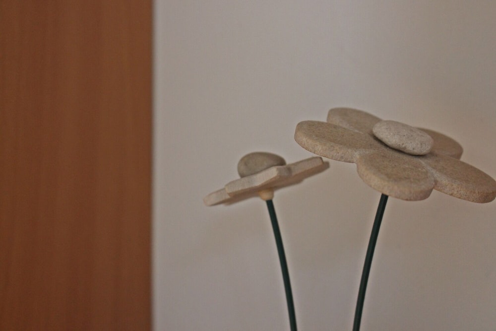 Photo 51