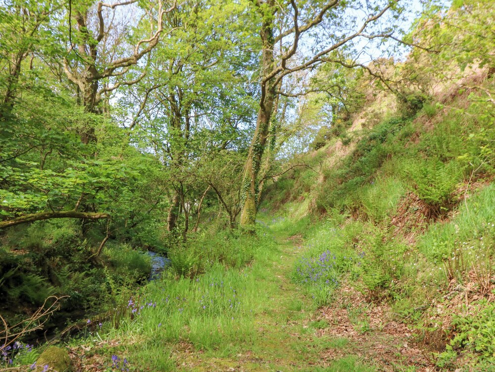 Glyn Yr Efail