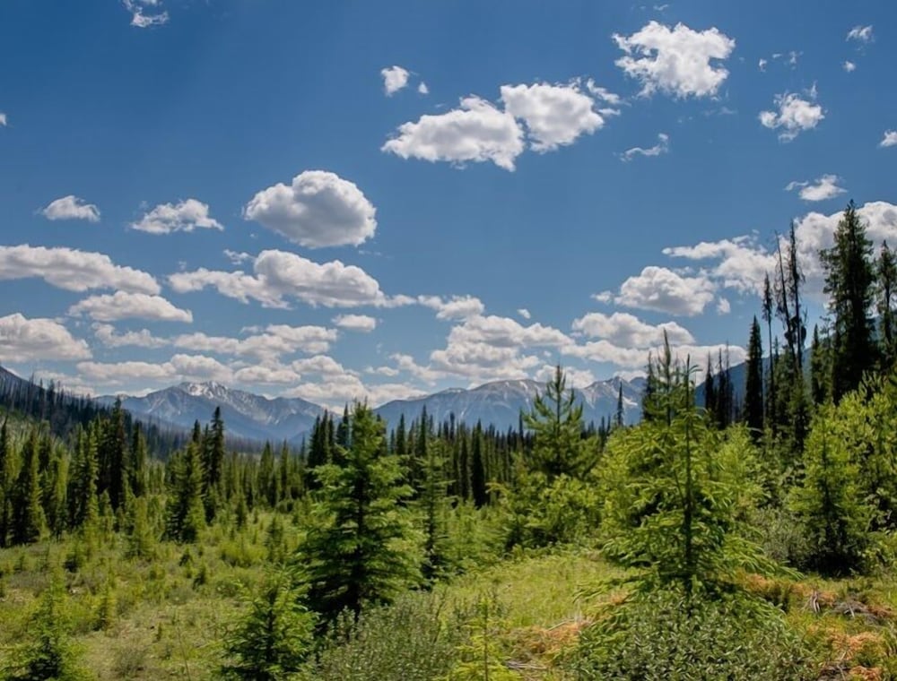Kootenay Park Lodge