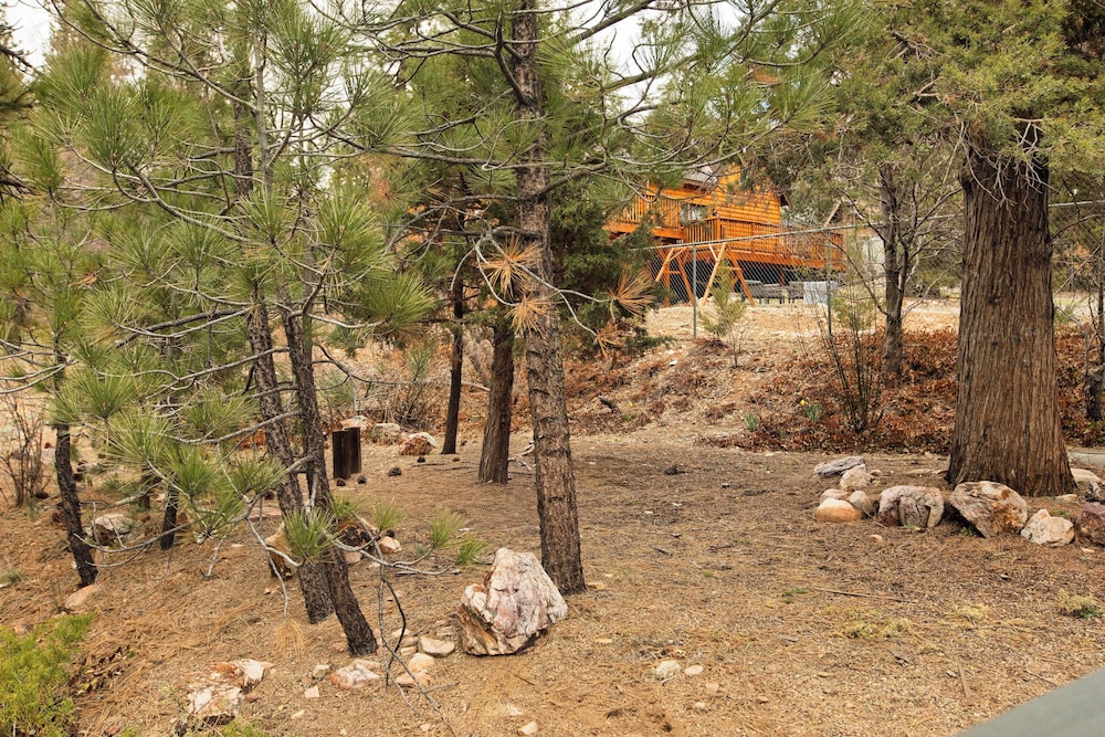 Cozy 2BR Fawnskin Cabin Big Bear Lake, Hiking Trails & Snow Summit Nearby