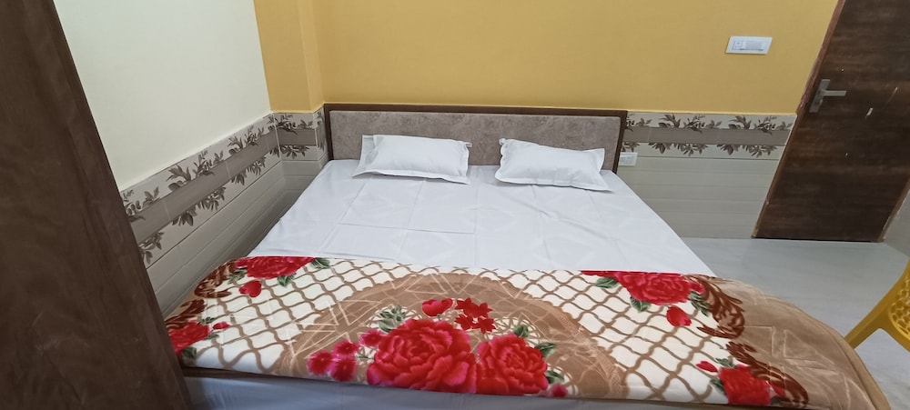 Hotel Abhi Palace view 2