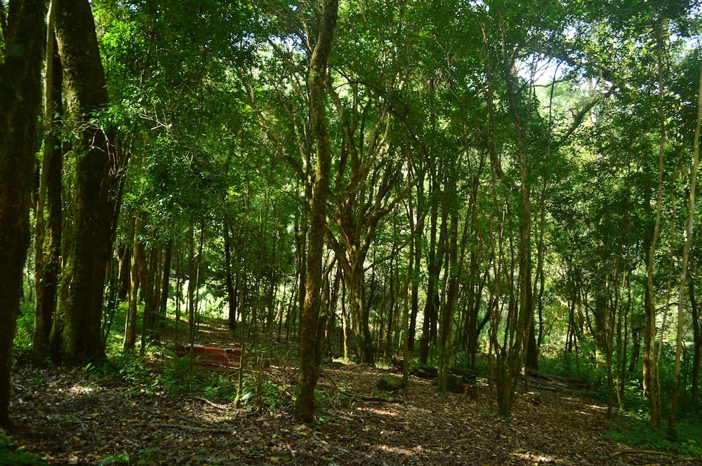 Coati Lodge