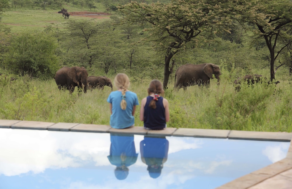 Spirit Of The Masai Mara