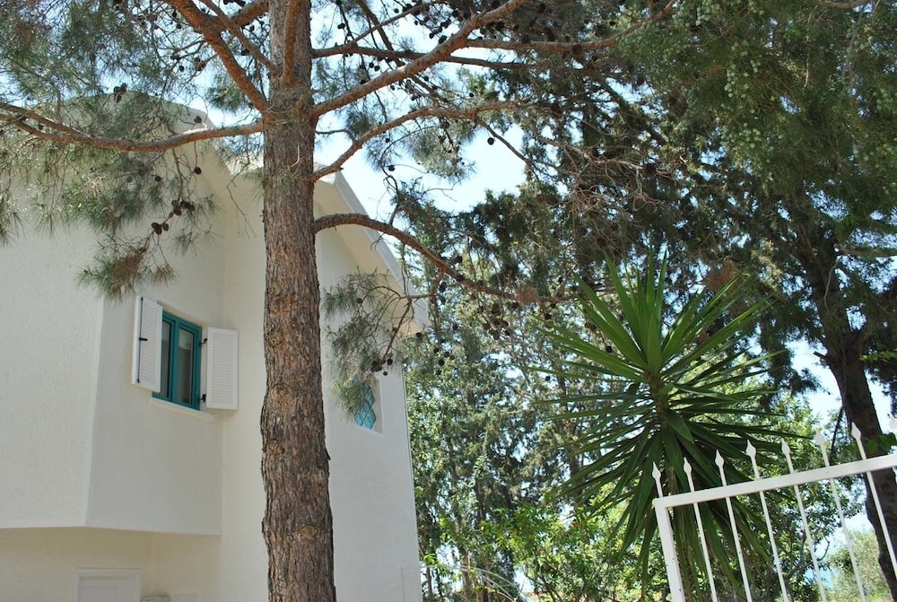 Photo 41