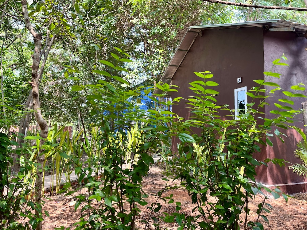 River Nest Hostel