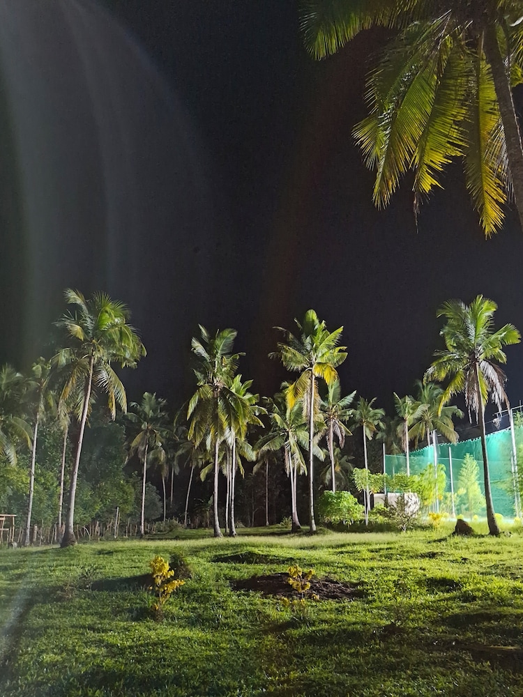 Asuneus Farm