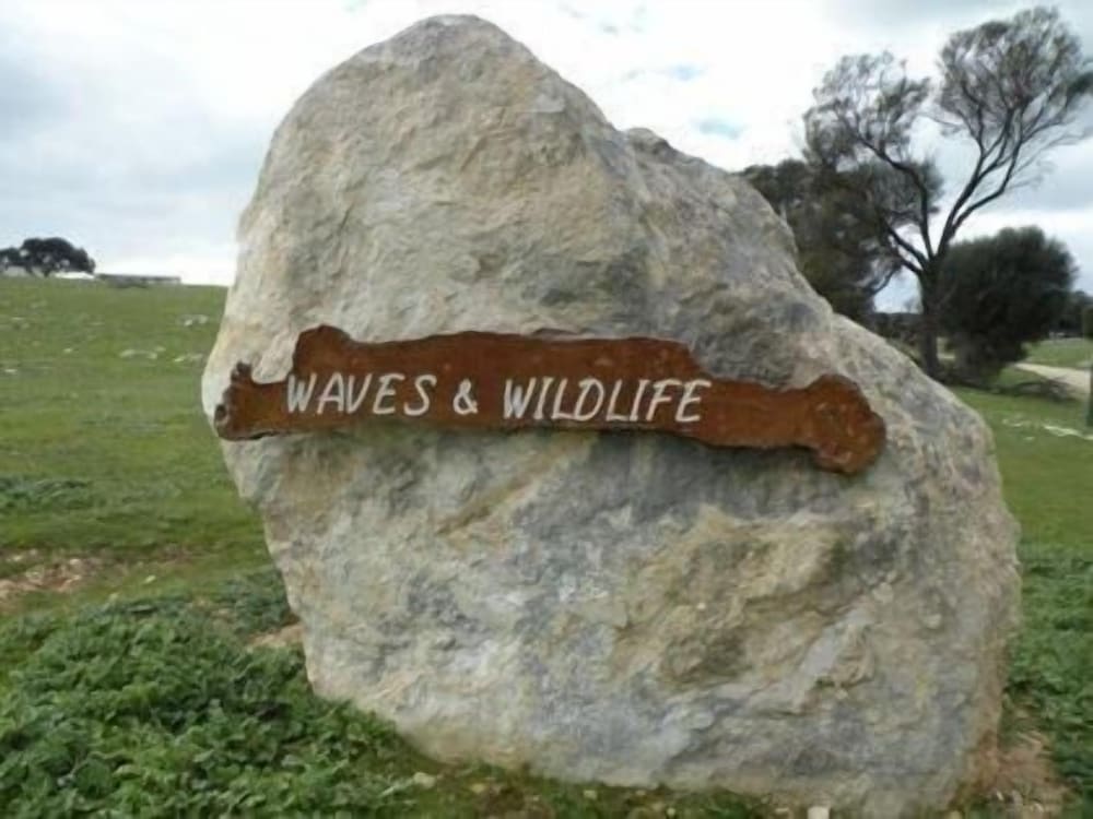 Waves and Wildlife