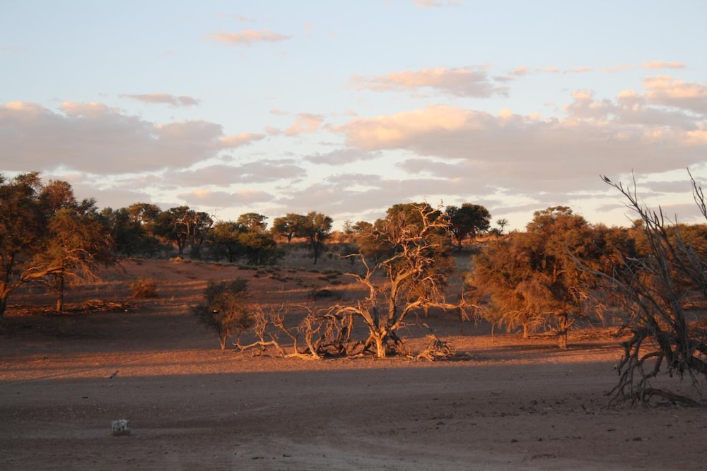 Torgos Lodge