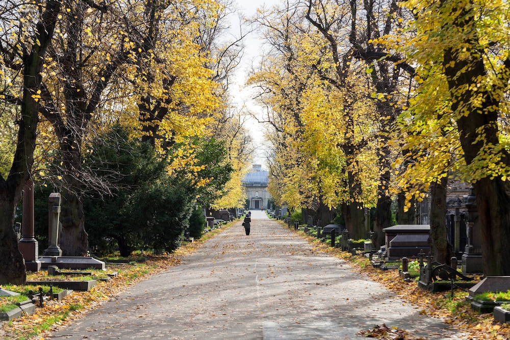 Cathcart Road IV by Onefinestay