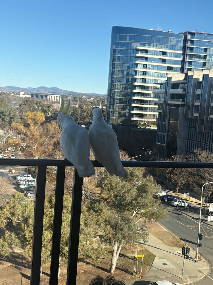 Central Lakeview Apartments