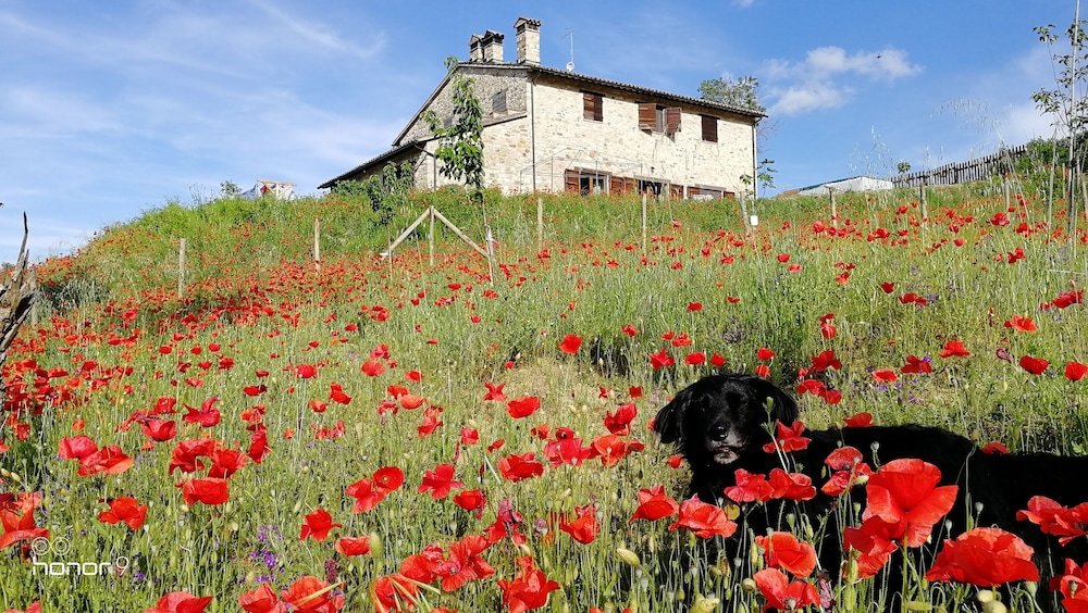Casale Le Orme