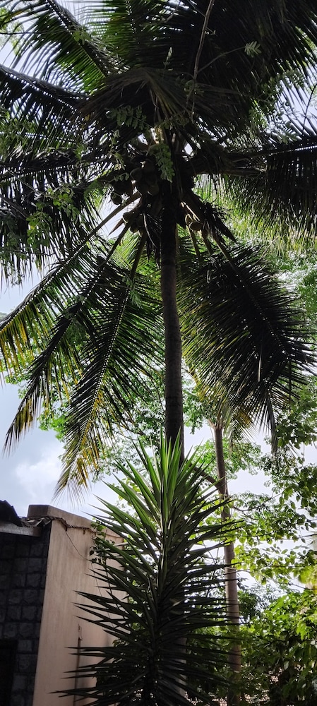 Pavanputra Resort Hassan