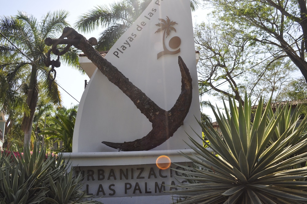 Tropical Gardens
