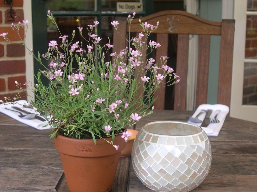 The Dolphin Inn