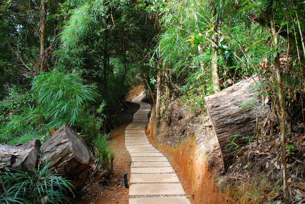 Dantica Cloud Forest Lodge