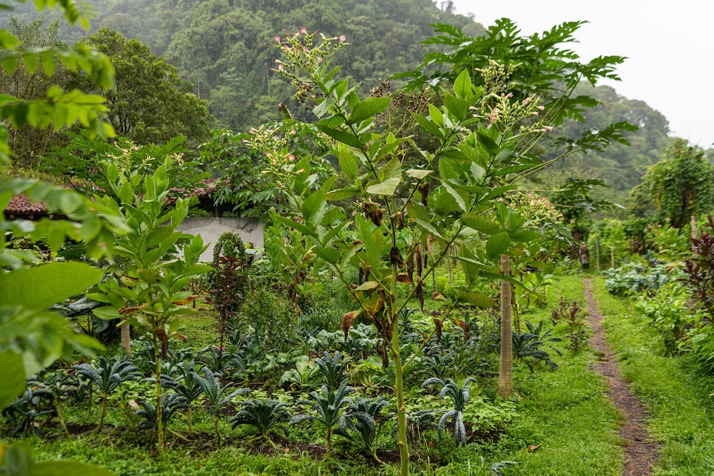 Rancho Margot