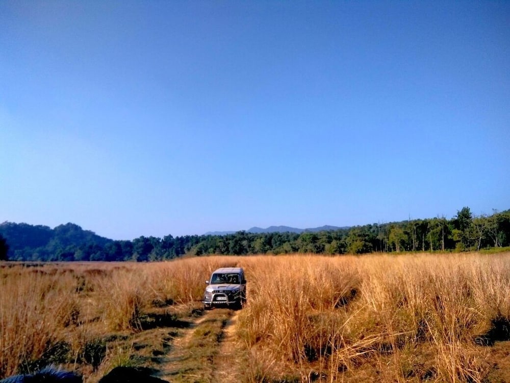 Corbett Mist Resort