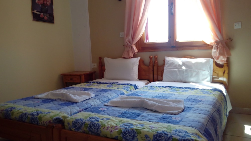 Anessis Studios photo 3