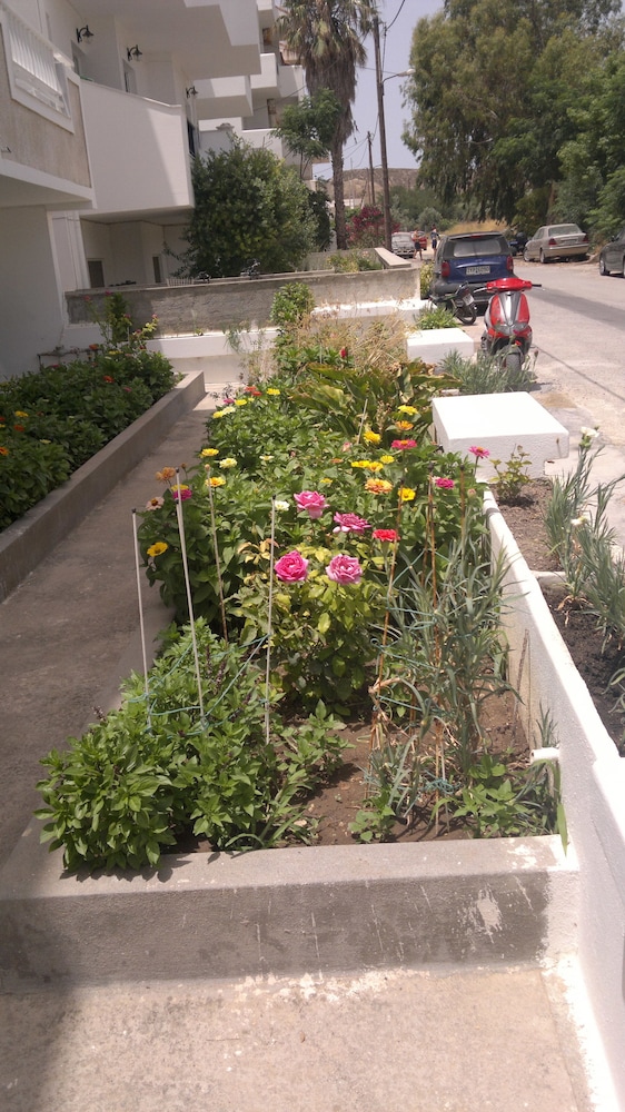 Photo 23