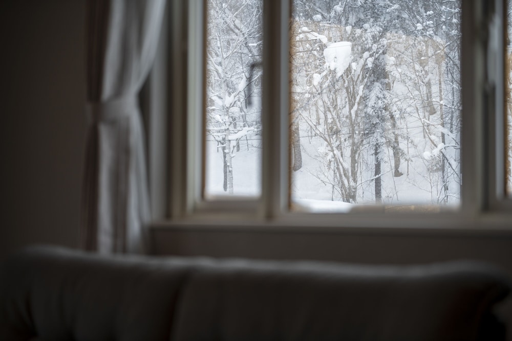 Photo 50