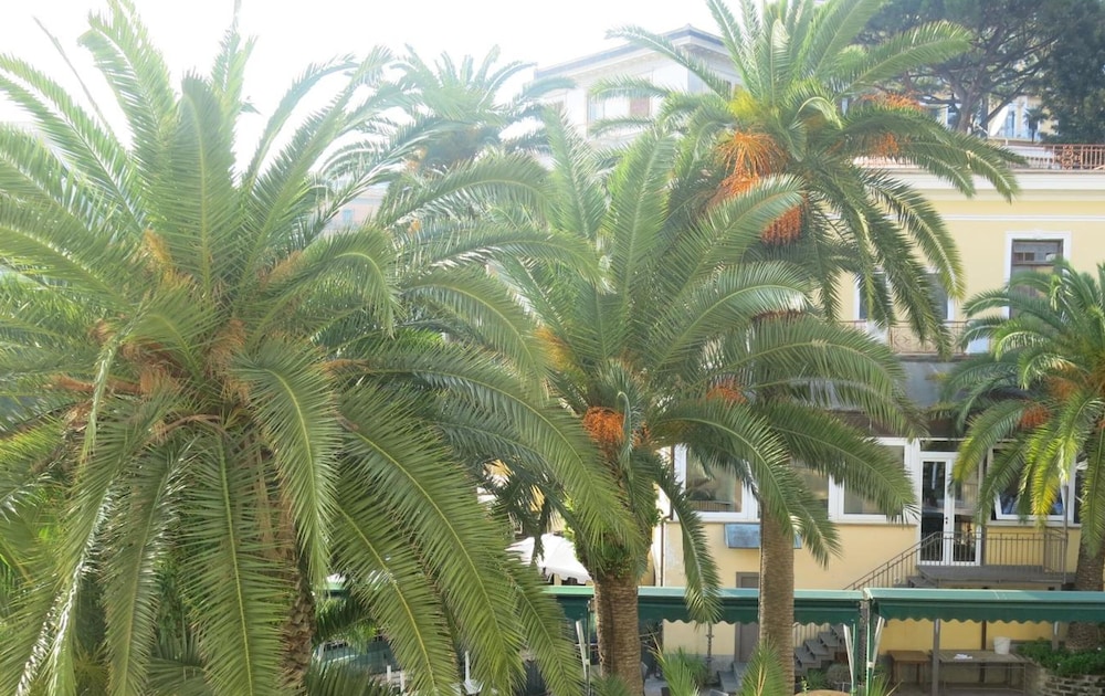 Nido Dei Gabbiani