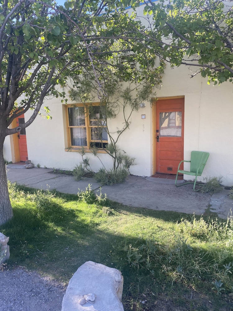 Photo 7