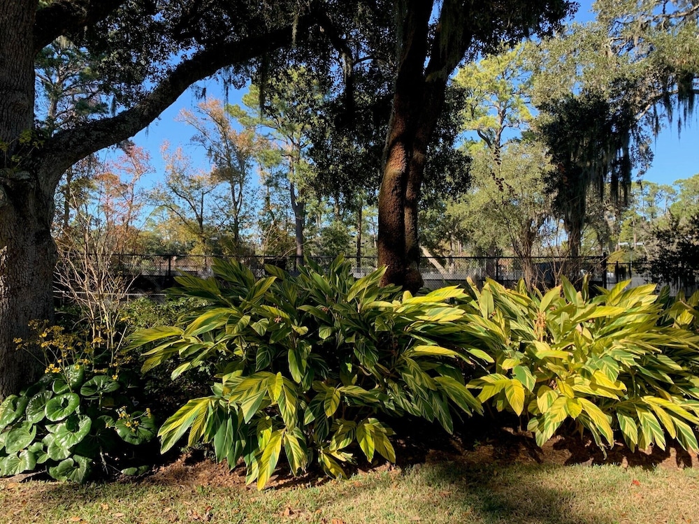 2295 Heritage Villas at The Sea Pines Resort