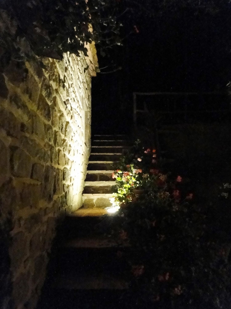 Photo 48