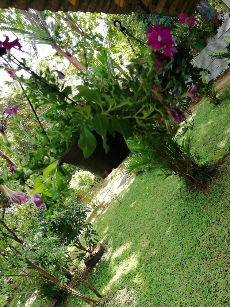Lal HomeStay