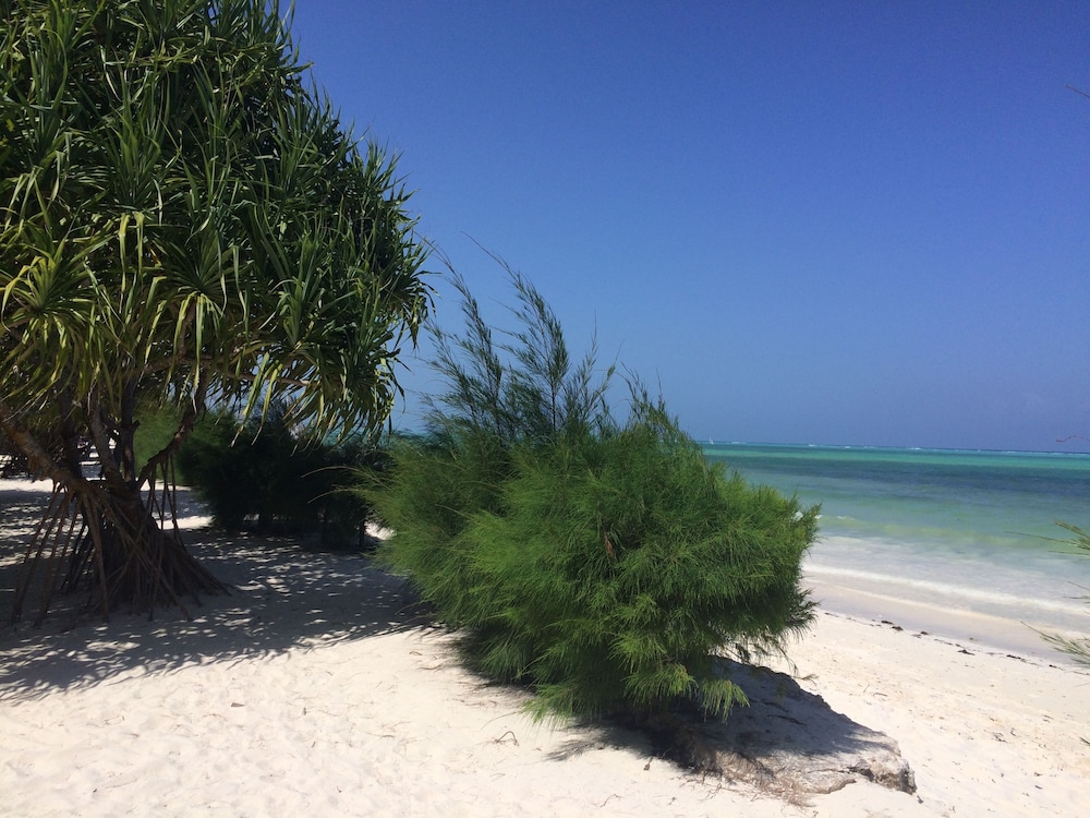 Kiwengwa Vacations - Neptune Pwani Beach Resort Spa Zanzibar - Property Image 82