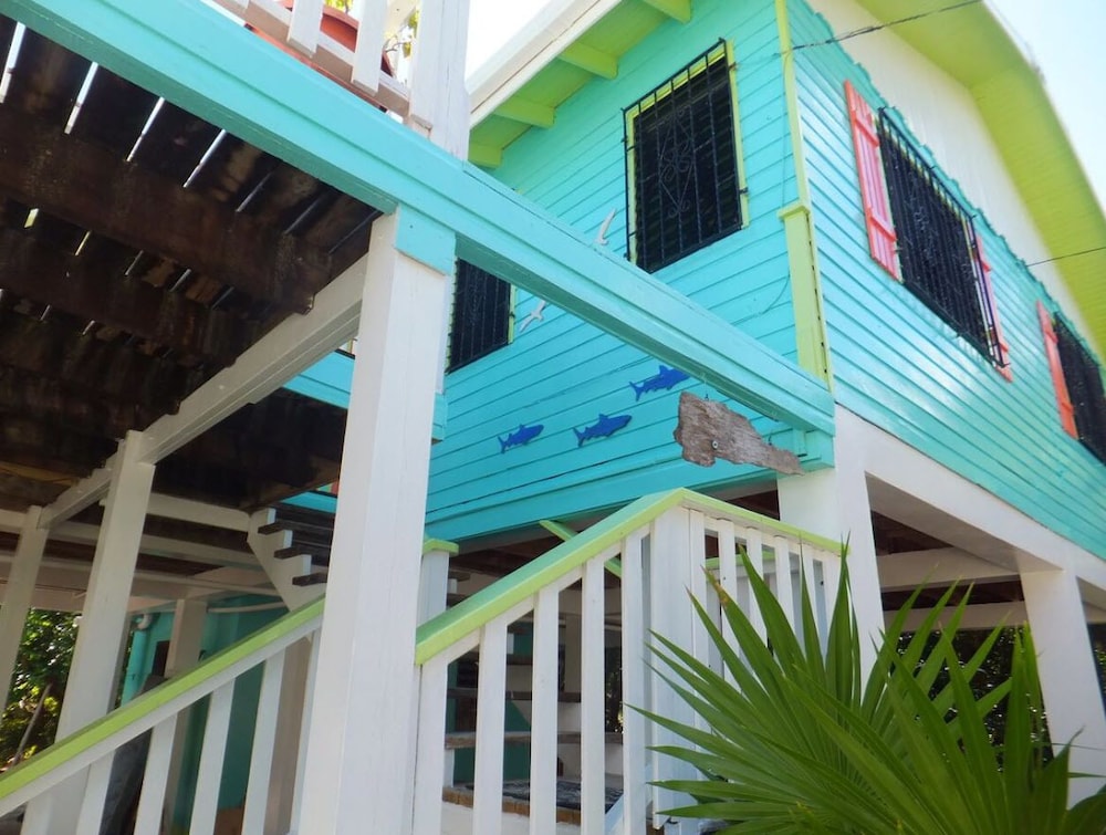 Bottle Tree House